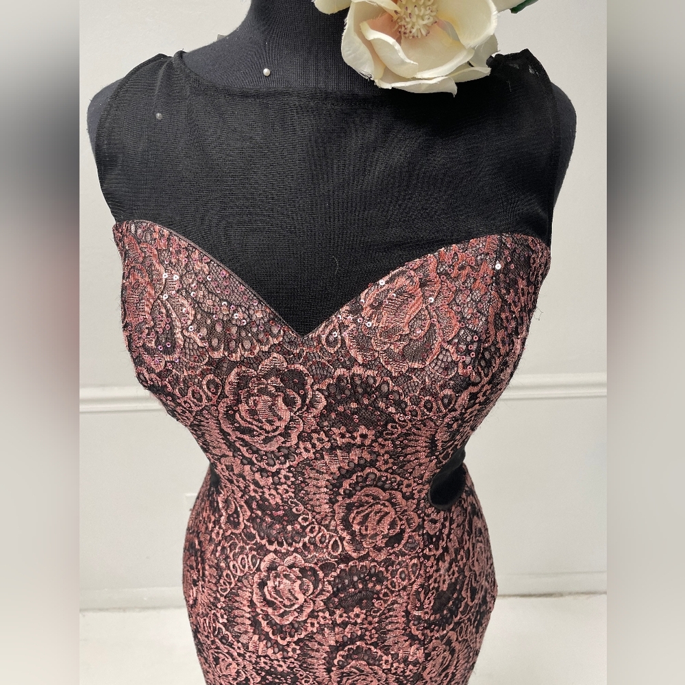 NWT Flori Gown Size 8 Pink and Black